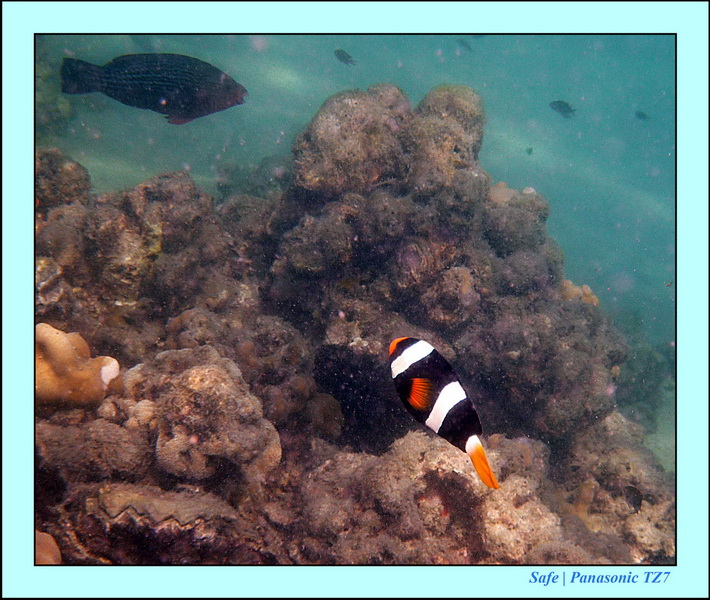 2012 - 03 - Koh Kradan 11